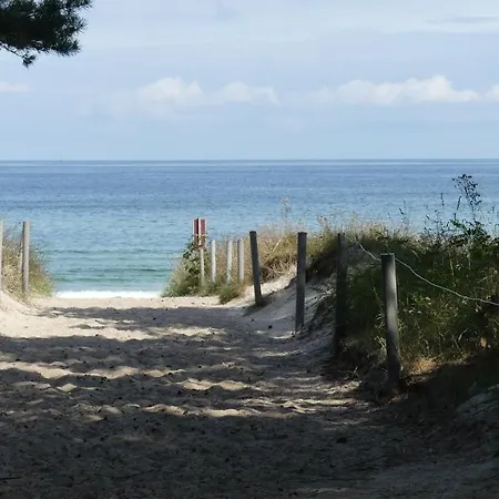 Zu Haus In Der Ferne بابي