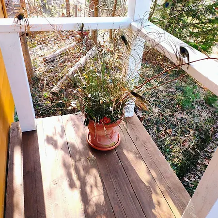 Zu Haus In Der Ferne