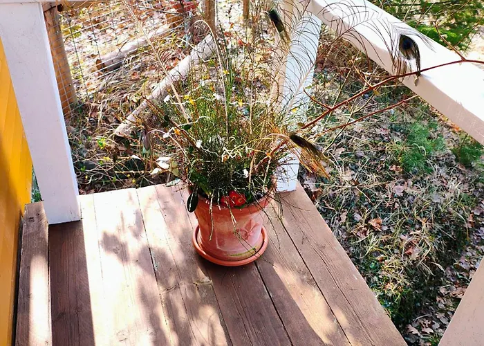 Zu Haus In Der Ferne